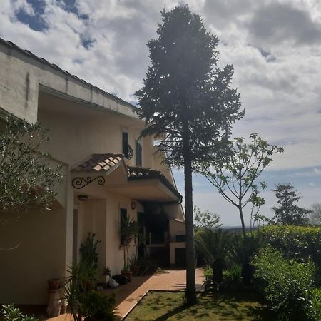 Affittacamere Parco Azzurro Colle Verde المظهر الخارجي الصورة